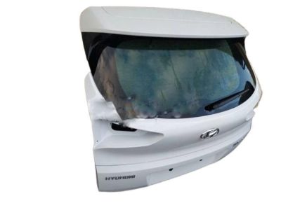 Hyundai 73700-D3050 Panel Assembly-Tail Gate