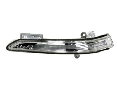 Hyundai 87613-B1000 Lamp Assembly-Outside Mirror, LH