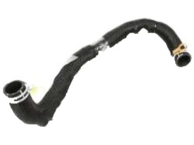 Hyundai 25415-C2200 Hose Assembly-Radaator, Lower