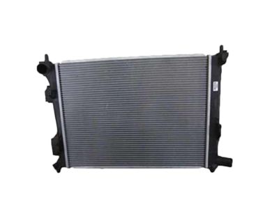 Hyundai 25310-1R150 Radiator Assembly