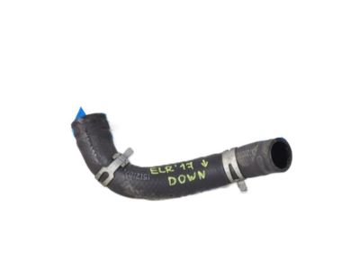 Hyundai 25415-F2100 Hose Assembly-Radaator, Lower