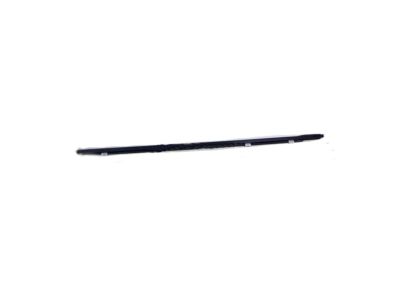 Hyundai 82210-2H000 Weatherstrip-Front Door Belt Outside, LH