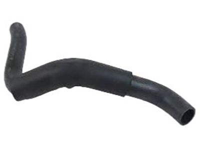 Kia 2541238160 Hose-Radiator Lower