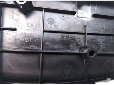Hyundai 83840-3D020 Moulding Assembly-Rear Door Delta, RH