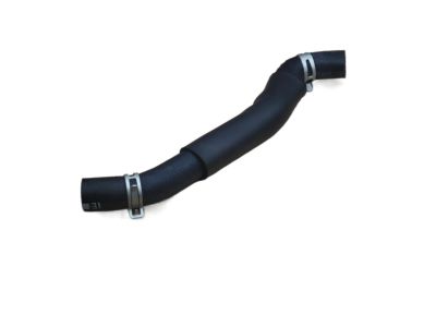 Hyundai 25415-2M100 Hose Assembly-Radaator, Lower