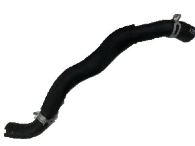 Kia 254153Q000 Hose-Radiator Lower