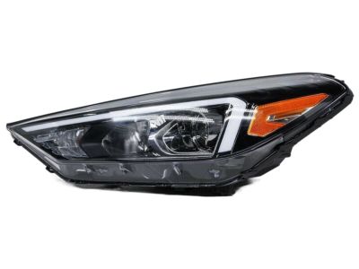 Hyundai 92101-D3500 Headlamp Assembly, Left