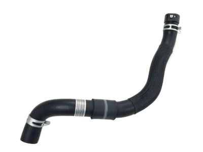 Kia 25410D9500 Hose Assembly-Radiator, Lower