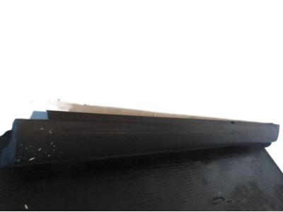 Hyundai 87710-0W200 Moulding Assembly-Side Sill, LH