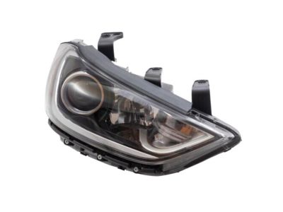 Hyundai 92101-F3000 Headlamp Assembly, Left