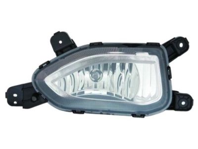 Hyundai 92202-J9010 Front Passenger Side Fog Light Assembly