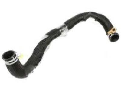 Hyundai 59130-3K800 Hose Assembly-Brake Booster Vacuum