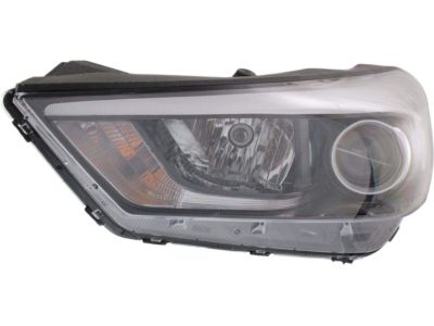 Hyundai 92101-D3150 Left Head Light Compatible