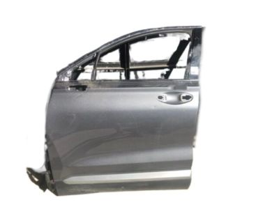 Hyundai 76003-S2000 Panel Assembly-Front Door, LH