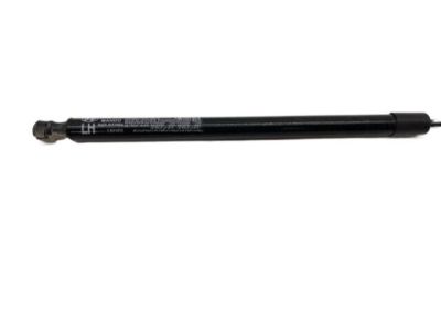 Hyundai 81770-B8000 Lifter Assembly-Tail Gate, LH