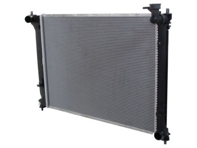 Hyundai 25310-C2000 Radiator Assembly