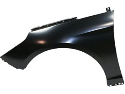 Hyundai 66311-C1000 Panel-Fender, LH