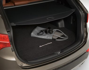 Hyundai 2WH15-AK300-RYN Cargo Screen