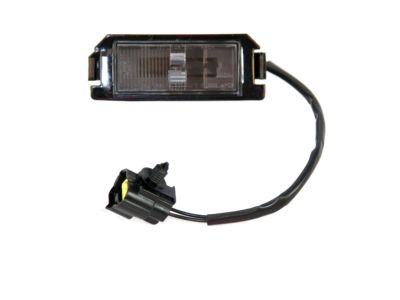 Hyundai 92501-2L500 Lamp Assembly-License Plate, LH