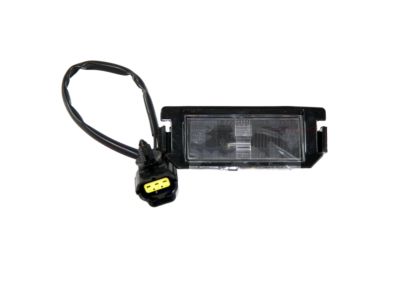 Hyundai 92501-2L500 Lamp Assembly-License Plate, LH