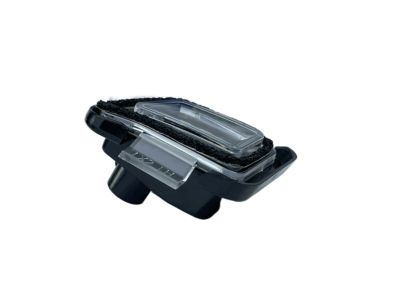 Hyundai 87619-S8000 Lamp Assembly-Puddle, LH