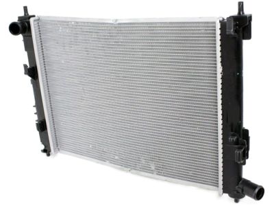 Hyundai 25310-H9050 Radiator Assembly