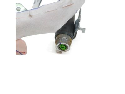 Hyundai 85010-G2000 Curtain Air Bag Module, LH