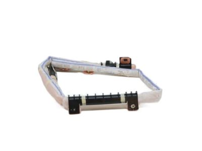 Hyundai 85010-G2000 Curtain Air Bag Module, LH