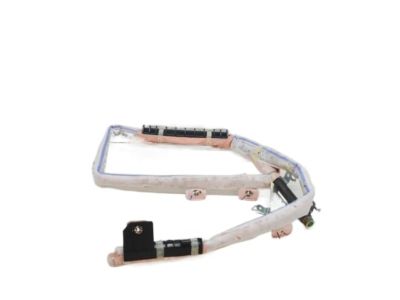 Hyundai 85010-G2000 Curtain Air Bag Module, LH
