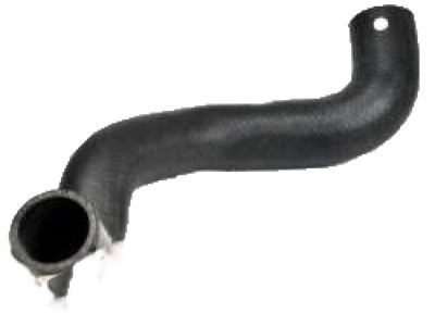 Hyundai 25415-B1000 Hose Assembly-Radaator, Lower