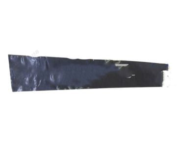 Hyundai 86381-3S000 Tape-Rear Door Black Frame Front, LH