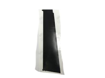 Hyundai 86391-2V000 Black Tape-Rear Door Front, RH