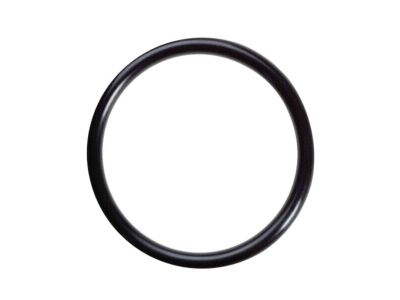 Kia 311173L000 O-Ring