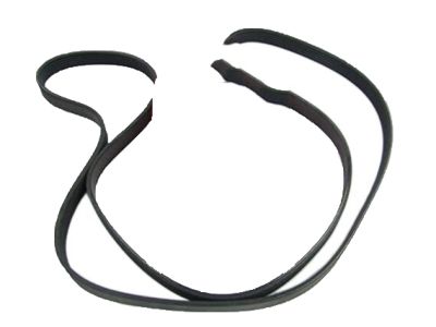 Kia 252123C300 V Ribbed Belt