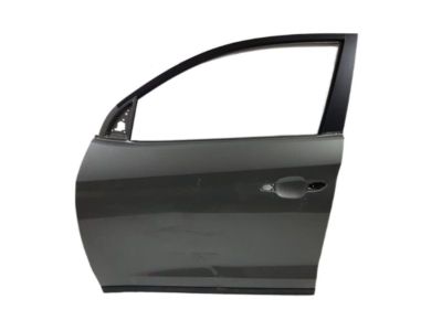 Hyundai 76003-D3001 Panel Assembly-Front Door, LH