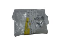 OEM 2020 Kia Rio Clamp-Hose - 253312P044