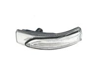 OEM Hyundai Ioniq Lamp Assembly-Outside Mirror, LH - 87613-G2000