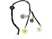 OEM 2002 Hyundai Santa Fe Rear Combination Holder & Wiring - 92419-26010