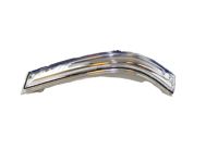 OEM Hyundai Lamp Assembly-Outside Mirror, LH - 87613-B8000