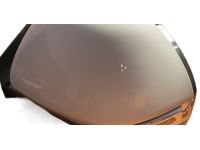 OEM 2017 Hyundai Santa Fe Mirror Assembly-Outside Rear View, LH - 87610-B8690
