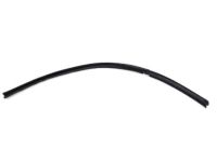 OEM 2019 Hyundai Elantra Weatherstrip-Rear Door Belt Inside LH - 83231-F2000