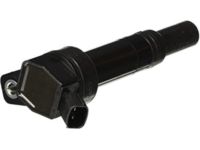 OEM 2017 Kia Forte Ignition Coil Assembly - 273002E000