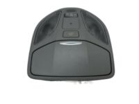 OEM 2015 Hyundai Santa Fe Overhead Console Lamp Assembly - 92800-B8200-OM