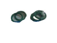 OEM 2022 Kia K5 O-Ring - 9769034330