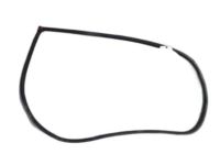 OEM 2001 Hyundai Elantra Weatherstrip-Front Door Body Side LH - 82110-2D010-OH