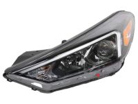 OEM 2021 Hyundai Tucson Left Driver Side Halogen Headlamp Lens Flaws - 92101-D3650