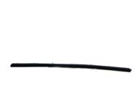 OEM 2003 Hyundai Accent Weatherstrip-Front Door Belt Inside LH - 82231-25000