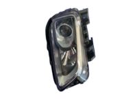 OEM Hyundai Headlamp Assembly, Right - 92102-J9020