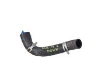 OEM Hyundai Elantra Hose Assembly-Radaator, Lower - 25415-F2100