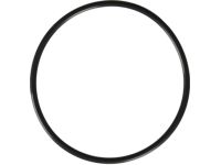 OEM 2007 Hyundai Elantra O-Ring - 31119-FD500